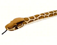 Plush Burmese Python 54 inch Snake-WR11104