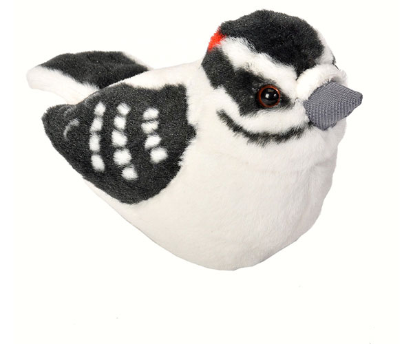 Plush Downy Woodpecker