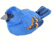 Plush Blue Grosbeak-WR18232