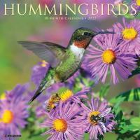 2022 Hummingbirds Wall Calendar-WC18408