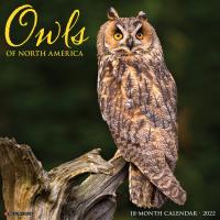 2022 Owls Wall Calendar-WC19139