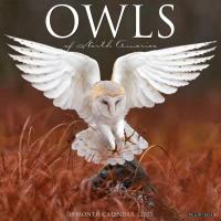 2023 Owls Wall Calendar-WC27110