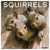 2024 Squirrels Wall Calendar-WC35498