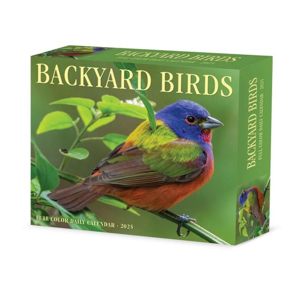 Backyard Birds Daily Box 2025 Calendar