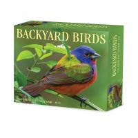 Backyard Birds Daily Box 2025 Calendar-WC40614