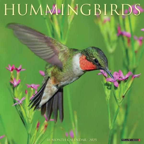 2025 Hummingbirds Calendar