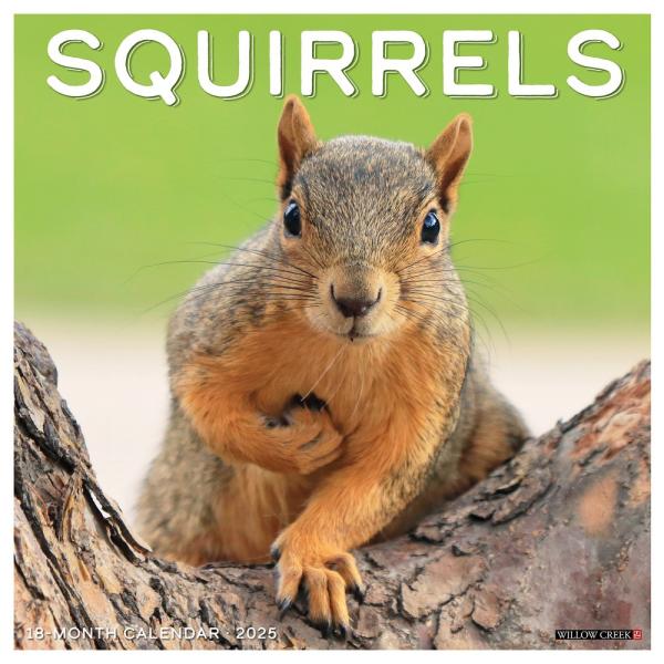 2025 Squirrels Calendar