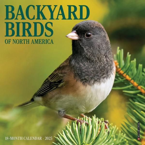 Mini 2025 Calendar Backyard Birds