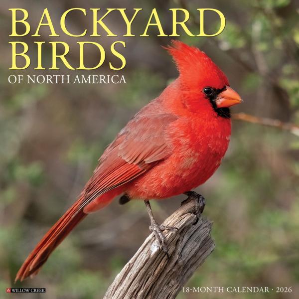 Backyard Birds of North America 2026 Calendar Backyard Birds of North America 2026 Calendar