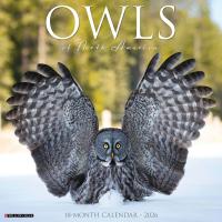Owls 2026 Calendar-WC52266
