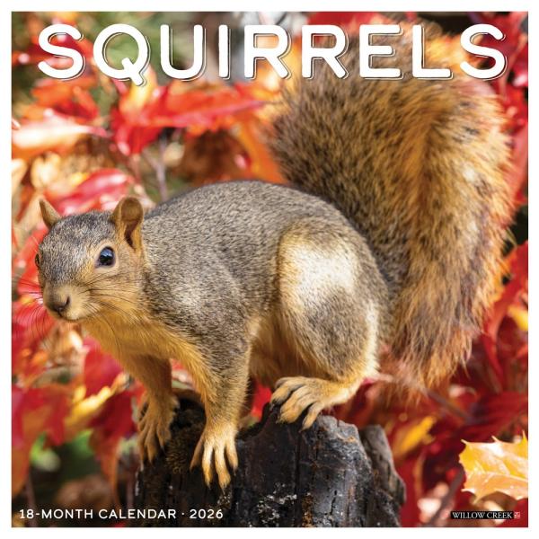 Squirrels 2026 Calendar