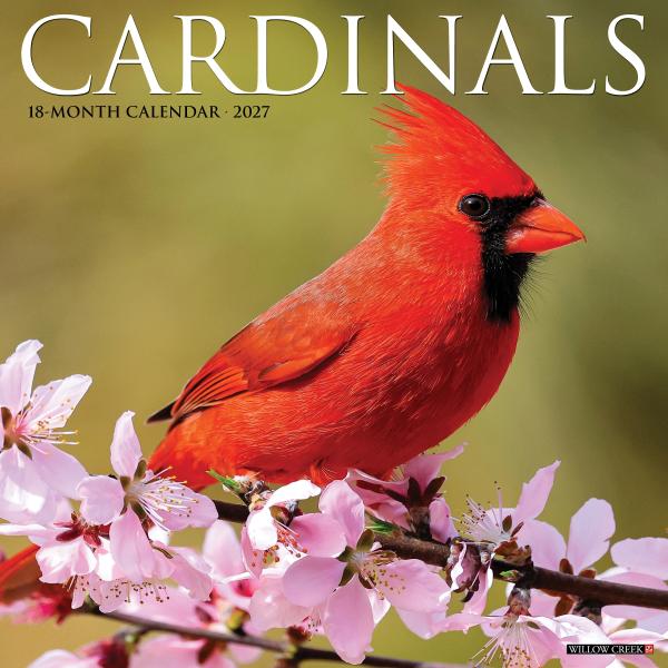 Cardinals 2027 Calendar