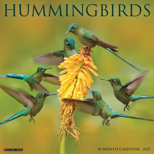 Hummingbirds 2027 Calendar