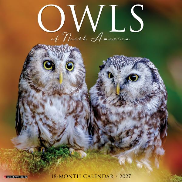 Owls of North America 2027 Calendar
