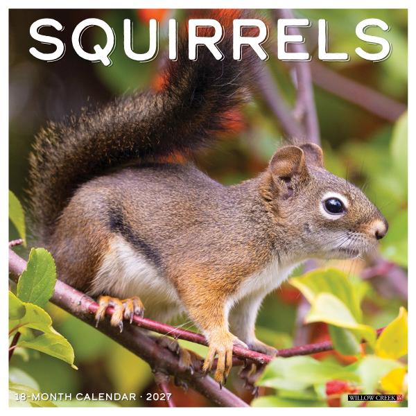 Squirrels 2027 Calendar