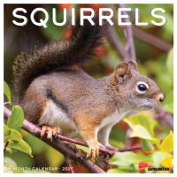 Squirrels 2027 Calendar-WC62470