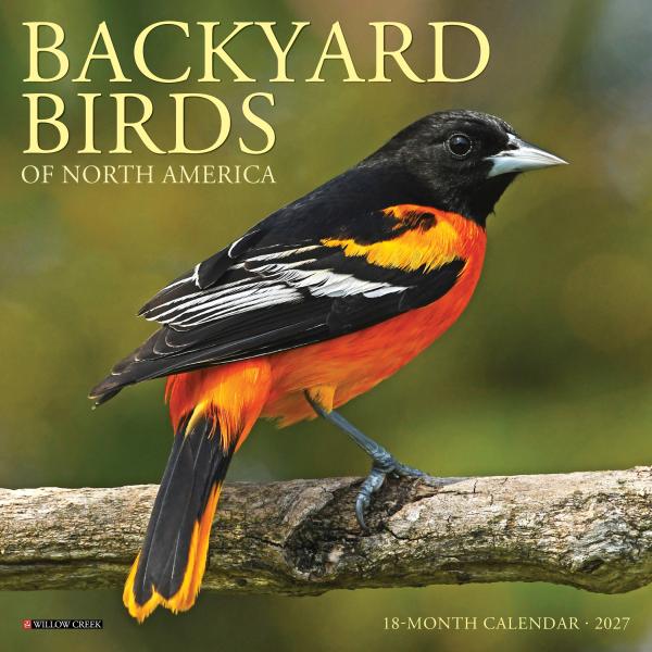 Backyard Birds Mini 2027 Calendar