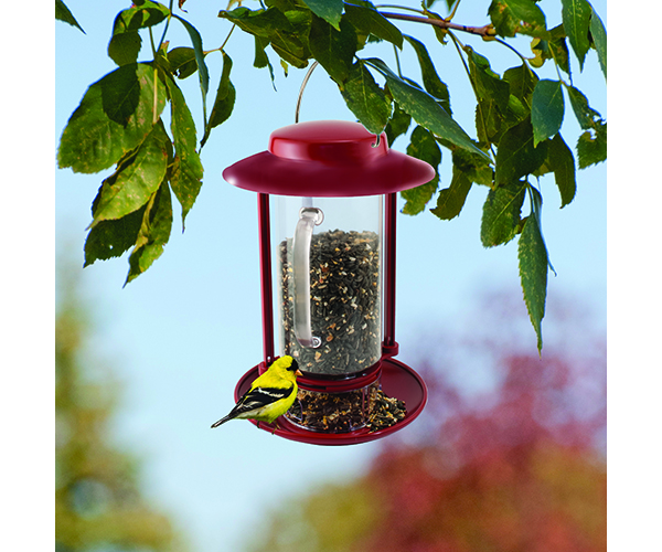 Combination Hopper/Seed Scoop Feeder