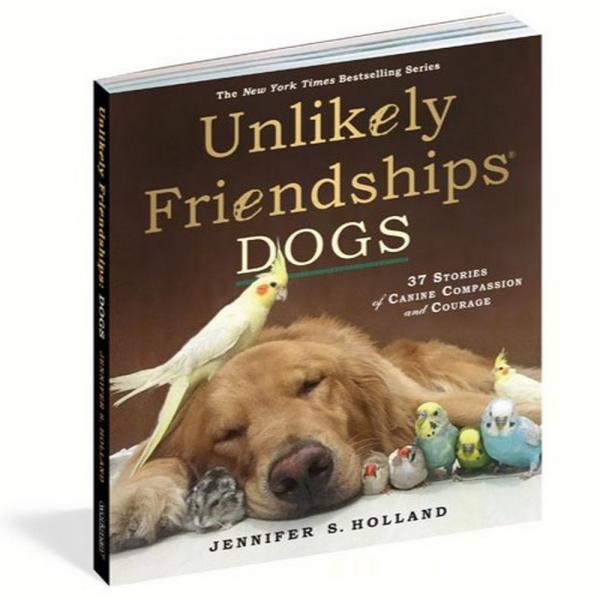 Unlikely Friendships - Dogs by Jennifer S. Holland