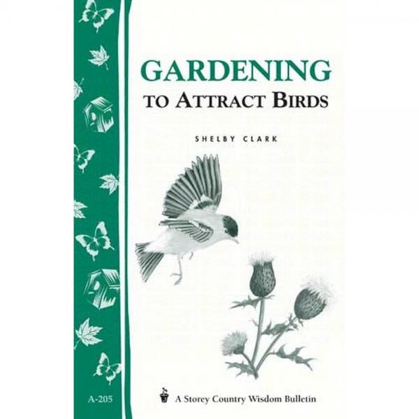 Gardening to Attract Birds by Shelby Clark