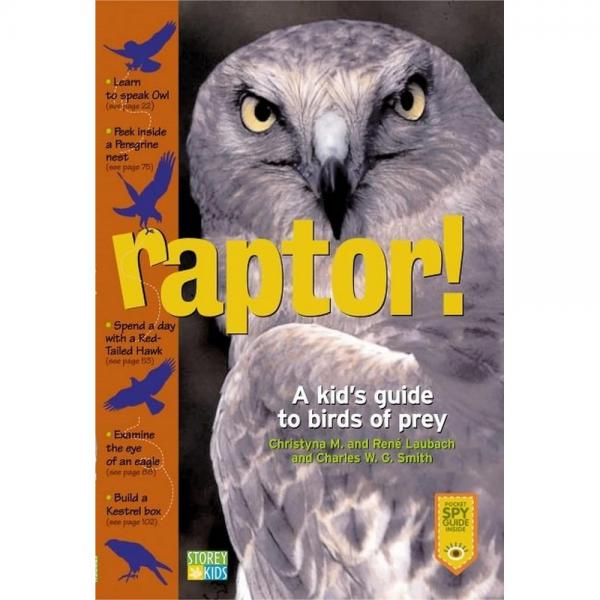 Raptor A Kids Guide to Birds
