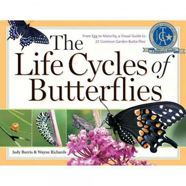 The Life Cycles of Butterflies by Judy Burris and Wayne Richards