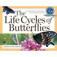 The Life Cycles of Butterflies by Judy Burris and Wayne Richards-HB9781580176170