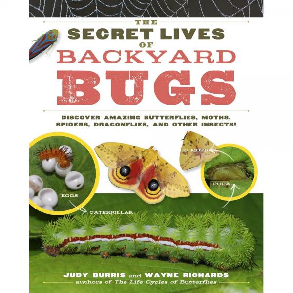 The Secret Lives of Backyard Bugs by Judy Burris and Wayne Richards