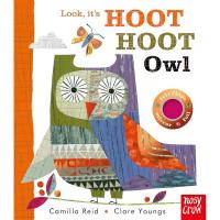 Look, it's Hoot Hoot Owl-HB9798887770154