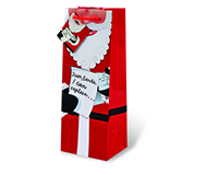 Printed Paper Wine Bottle Bag  - Santa I Can Explain-17500